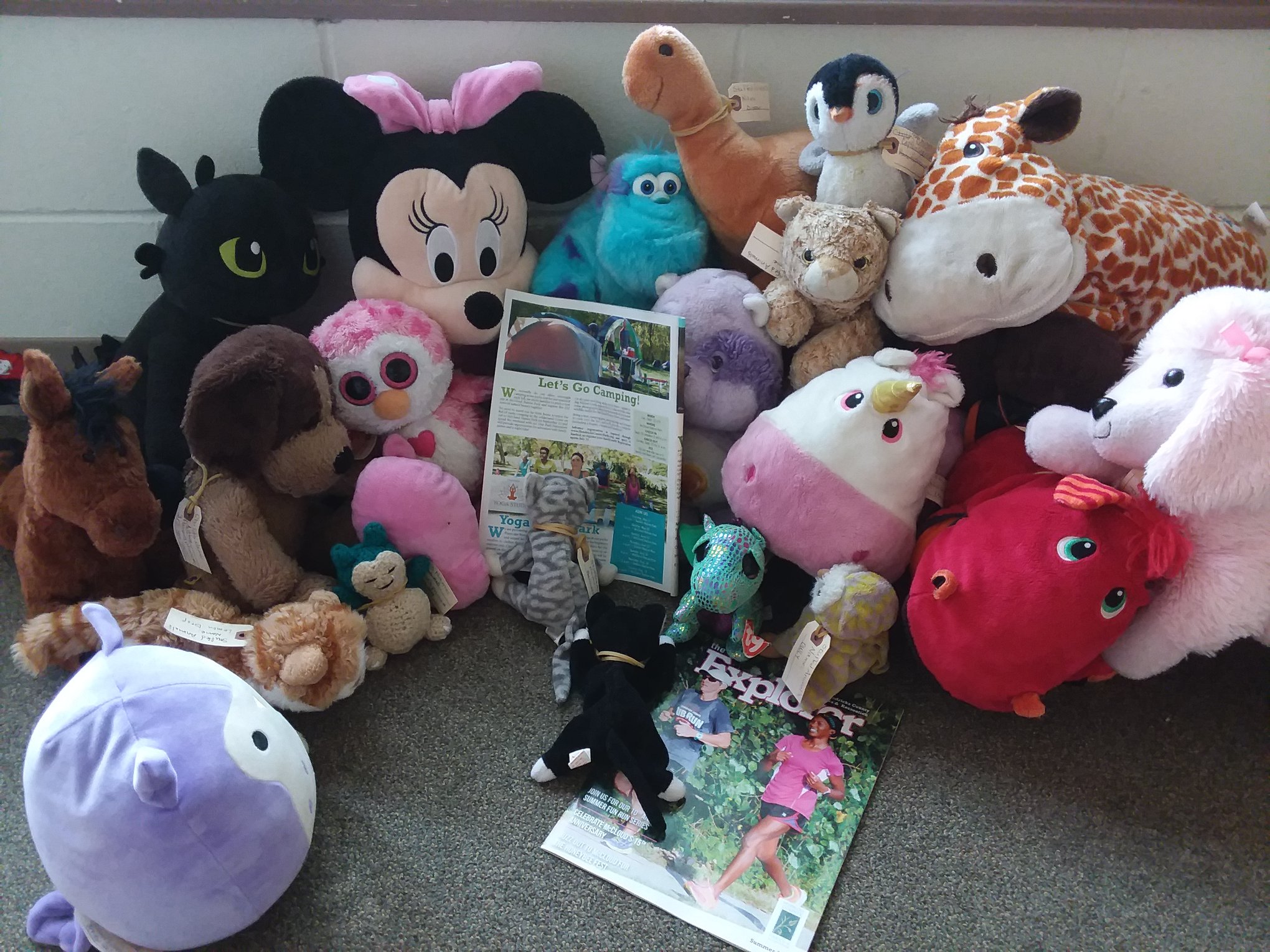 Stuffed Animal Sleepover Hendricks County Parks & Recreation